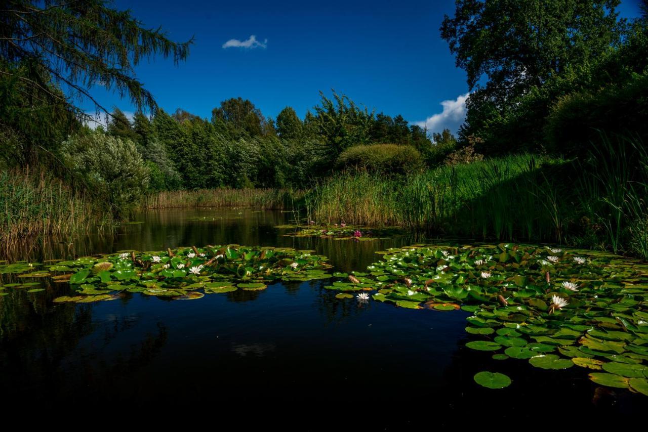 Idilliska Latgaliesu Lauku Maja Ar Melno Pirti Villa Aglona Kültér fotó