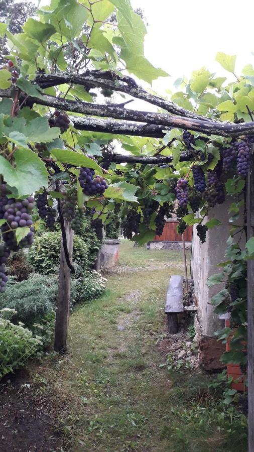 Idilliska Latgaliesu Lauku Maja Ar Melno Pirti Villa Aglona Kültér fotó